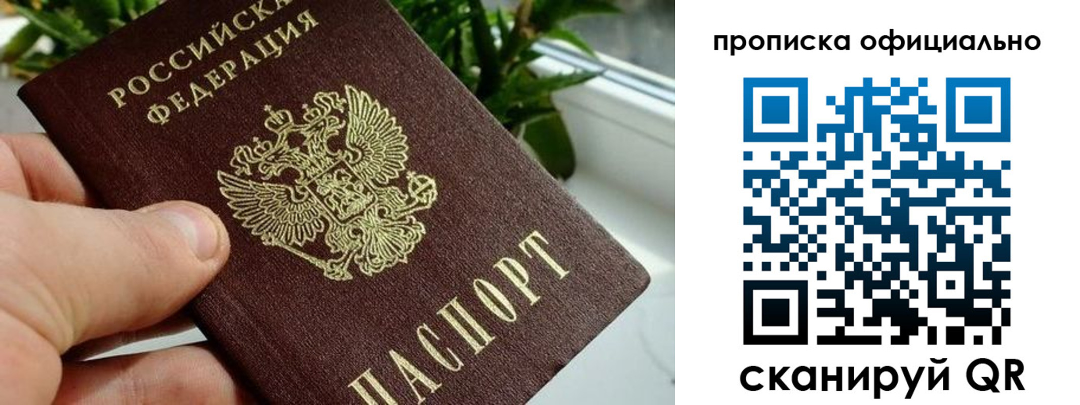 прописка поиск в Вологде